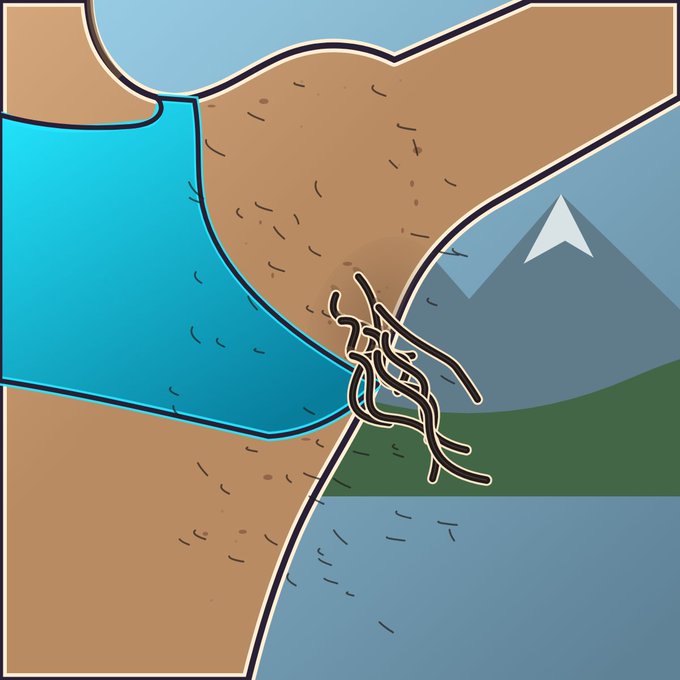 An illustration showing a stream of water flowing between tan landmasses, with roots or branches tangled at the outlet, set against a backdrop of blue water and a snow-capped mountain.