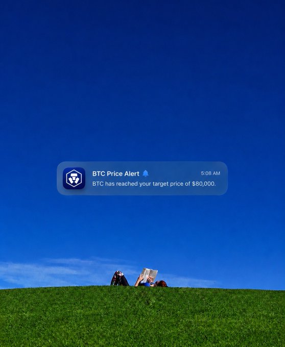 A person relaxes on a grassy hill with a book while a push notification reads "BTC Price Alert: BTC has reached your target price of $80,000." The image illustrates the post's message of setting price alerts and being notified when targets are hit, freeing you to enjoy your day.