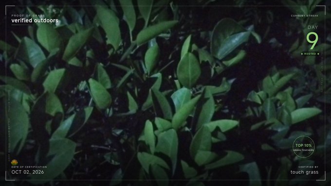 A dark, moody image of green leaves with overlay text including 'PROOF OF LEAF verified outdoors', 'CURRENT STREAK DAY 9 ROOTED', 'TOP 10% GRASS FOUNDERS', 'DATE OF CERTIFICATION OCT 02, 2026', and 'CERTIFIED BY touch grass'.
