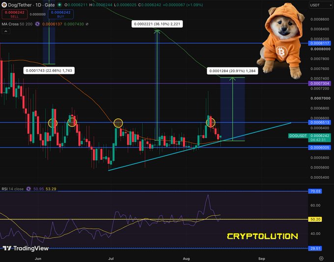 Daily TradingView chart of DOGG/USDT (Dog/Tether) showing technical analysis with a 'CRYPTOLUTION' watermark and an image of a Shiba Inu dog wearing an orange Bitcoin hoodie in the corner.