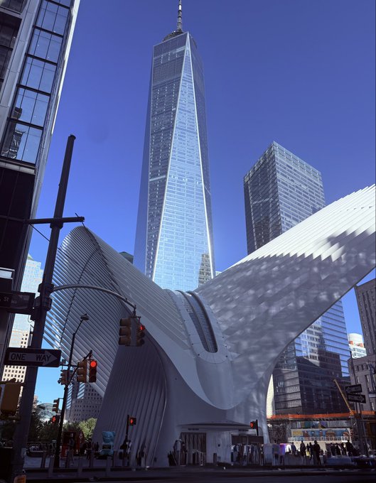 A street-level view in New York City captures the white, ribbed, wing-like structure of the World Trade Center's Oculus transportation hub in the foreground, with the tall glass skyscraper One World Trade Center towering behind it against a clear blue sky.