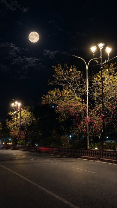 A nighttime street scene featuring a full moon in the sky above an empty road lined with ornate street lamps and trees with pink blossoms.