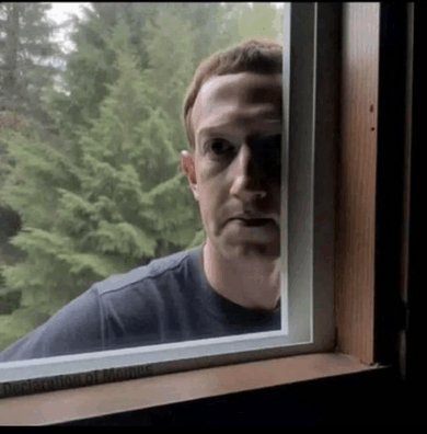 [caption-failed: image unfetchable or no caption]