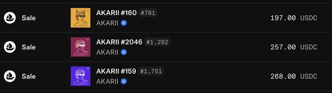 An NFT marketplace listing showing three AKARII NFT items (#160, #2046, #159) for sale at 197.00, 257.00, and 268.00 USDC respectively.