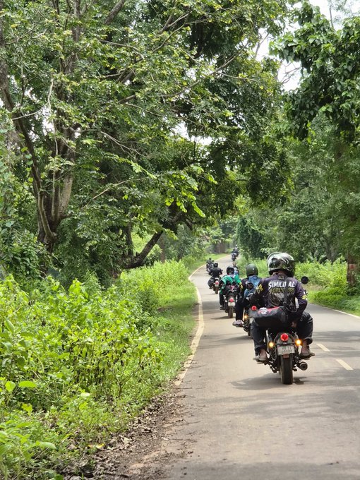 A group of motorcyclists riding down a tree-lined road surrounded by lush green vegetation.