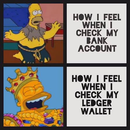 A two-panel meme using The Simpsons character Homer Simpson: the top panel shows him as a beggar with text 'HOW I FEEL WHEN I CHECK MY BANK ACCOUNT,' and the bottom shows him as a rich king with text 'HOW I FEEL WHEN I CHECK MY LEDGER WALLET.'