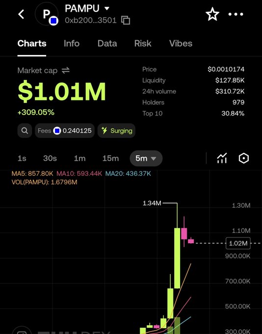 A cryptocurrency chart app showing token 'PAMPU' with a market cap of $1.01M (+309.05%), price of $0.0010174, 979 holders, and a candlestick chart peaking around 1.34M on a 5-minute timeframe.