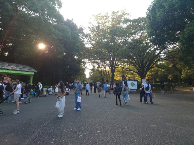 A sunny park scene with many people walking on a paved path among large trees, with the sun shining through the branches and a small structure on the left.