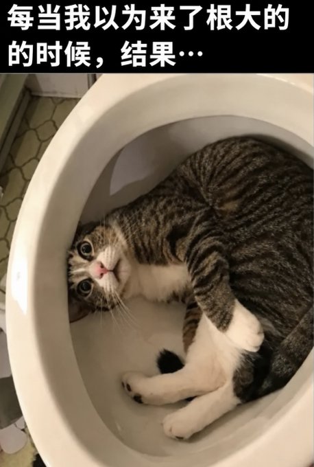 [caption-failed: flagged sensitive]