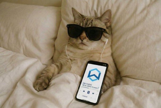 A tabby cat wearing sunglasses relaxes on a bed with earbuds in, a smartphone displaying the GM Radio app (logo and 'GM RADIO THE ALL GOING TO MAAVE IT' text) propped against it.