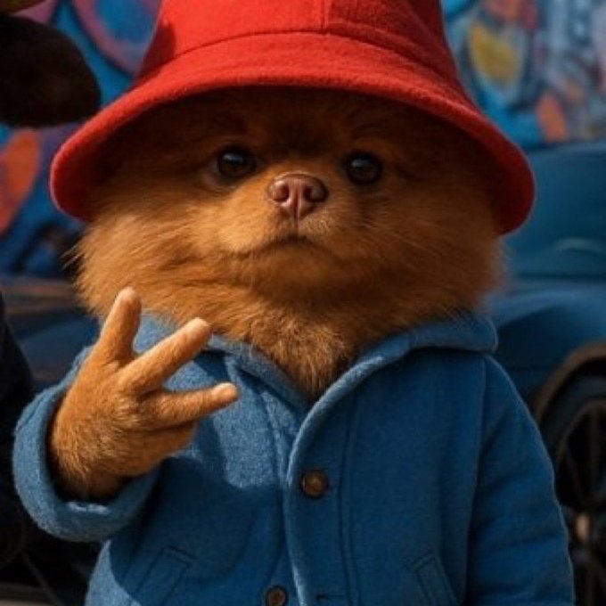 A close-up of Paddington Bear, the fictional character, wearing his signature red hat and blue duffle coat while holding up two fingers.