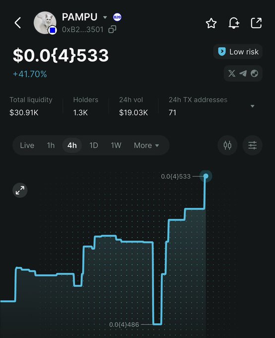 A price tracking page for the $PAMPU token (contract address 0xB2...3501) showing a current price of $0.0{4}533, a 41.70% increase, $30.91K total liquidity, 1.3K holders, and a 4-hour chart displaying a sharp upward trend that visually supports the post's claim of significant recent gains.