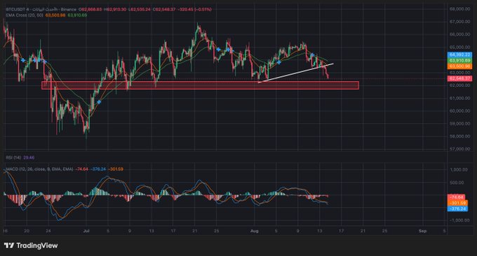 A TradingView candlestick chart for BTCUSDT shows Bitcoin's price action with an EMA Cross indicator and MACD oscillator in a lower panel, featuring a white trendline and red support zone overlay.