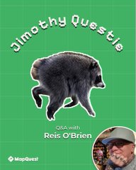 A green graphic for a MapQuest 'Q&A with Reid O'Brien' featuring a black bear illustration and the text 'Jimothy Questie'.