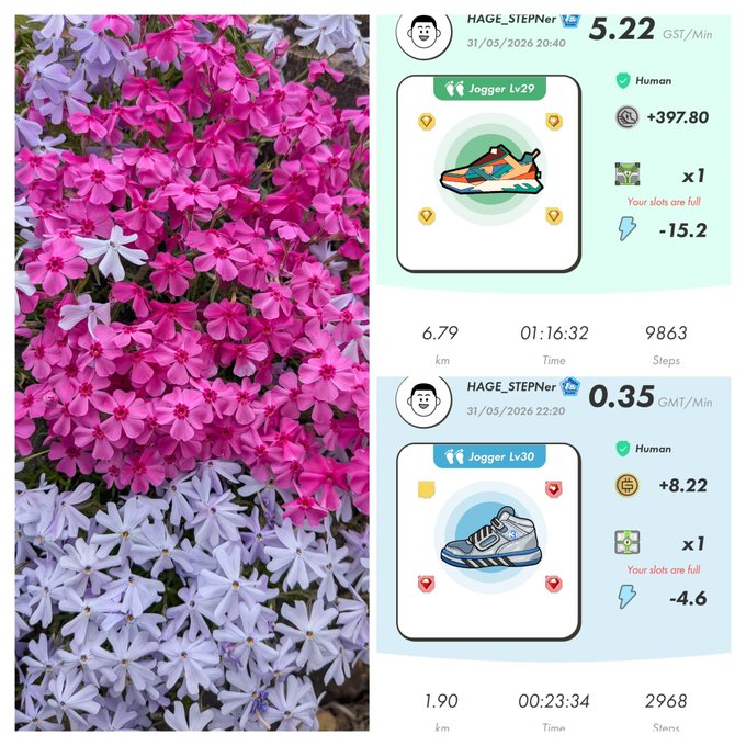 ids of two different images, one with flowers and another with a step count tracking app.