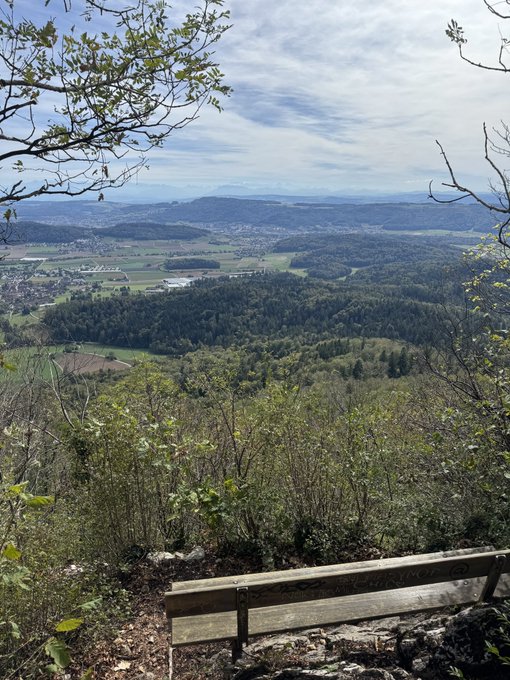 A scenic landscape photograph taken from an elevated viewpoint, showing a wide valley with forests, agricultural fields, and distant mountains under a partly cloudy sky, with a wooden bench and tree branches in the foreground.
