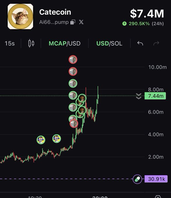 A trading chart shows Catecoin (Ai66...pump) with a market cap of $7.4M, up 290.5K% in 24 hours, displaying a sharp price spike with multiple buy/sell markers. The image relates to the post's bullish speculation about meme coin momentum, suggesting similar explosive gains could occur for $DOGE following an Elon Musk mention.