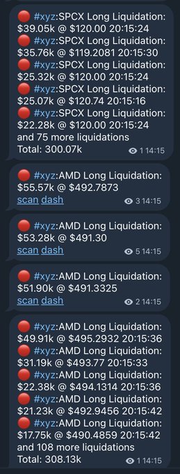 A Discord chat log displaying multiple red liquidation alerts for 'XYZ' ticker, including #xyz:SPCX and #xyz:AMD long liquidations with various price points, totaling $300.07k and $308.13k.