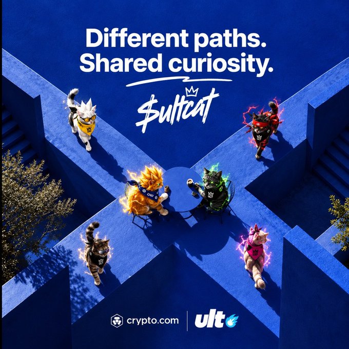 A promotional graphic with the text "Different paths. Shared curiosity. $ultcat" featuring several anthropomorphic cats with elemental powers positioned on a blue architectural structure, displayed by crypto.com and ult.