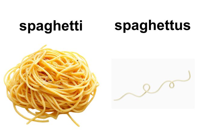 A humorous comparison showing a normal plate of 'spaghetti' on the left versus a single, sparse strand of pasta labeled 'spaghettus' on the right.