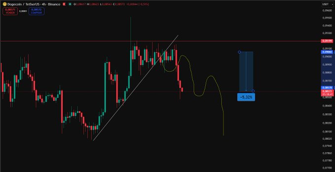 A TradingView 4-hour chart of DOGE/USDT on Binance shows a price of 0.08872 with a -0.91% decline, featuring candlestick patterns, a descending trendline, and a highlighted blue measurement tool displaying -5.32%, visually confirming the poster's warning about Dogecoin's recent crash after predicting the downturn two days prior.