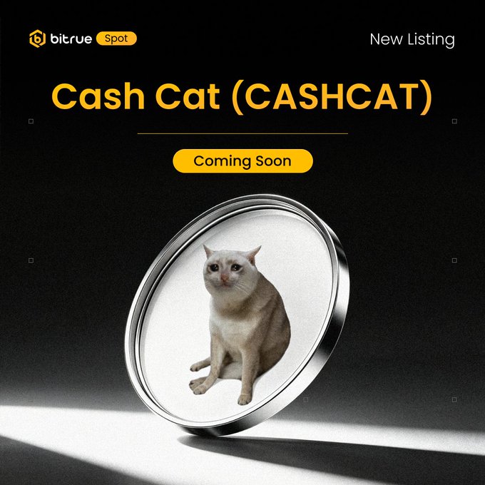 A promotional graphic for Bitrue Spot announcing the upcoming listing of "Cash Cat (CASHCAT)" as a "Coming Soon" new listing, featuring a circular silver frame containing a photo of a white and gray cat against a black background. The image visually represents the memecoin being introduced to the Bitrue platform, aligning with the announcement of $CASHCAT's arrival via Robinhood Chain.