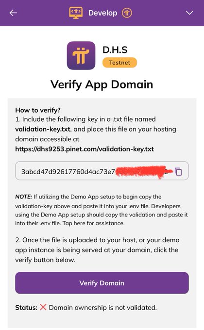 A screenshot of the Pi Network Developer portal showing the "Verify App Domain" page for D.H.S on Testnet, displaying a validation key (partially redacted) that needs to be placed in a txt file at https://dhs9253.pinet.com/validation-key.txt, with a status of "Domain ownership is not validated." This illustrates the domain verification challenge developers face when building on the Pi ecosystem, as highlighted in the post calling for clarity or an updated validation method from the Pi Core Team.