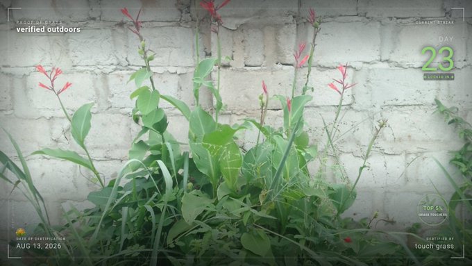 Plants growing against a brick wall with an augmented reality overlay indicating 'Day 23' and identifying a plant as 'Touch Me Not' with a certification date of August 13, 2020.