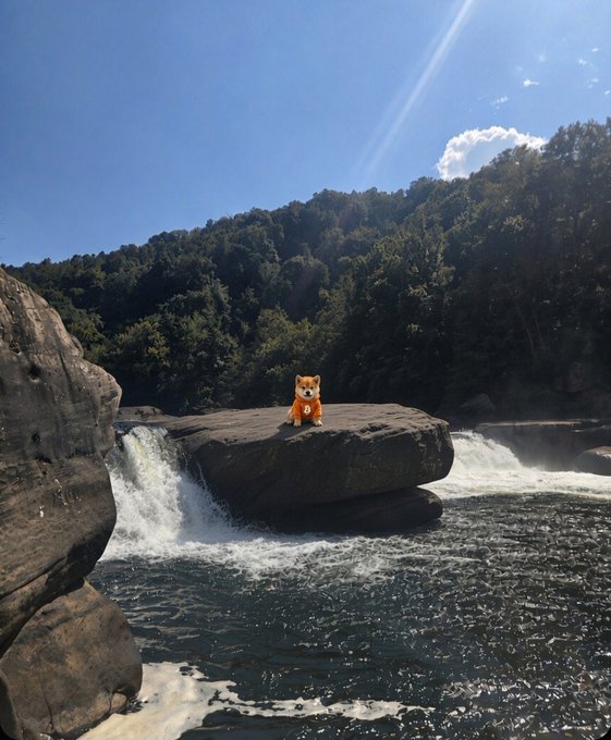 A small brown stuffed dog sits on a large rock in the middle of a rushing river waterfall, surrounded by forested hills under a bright blue sky with sun flares.