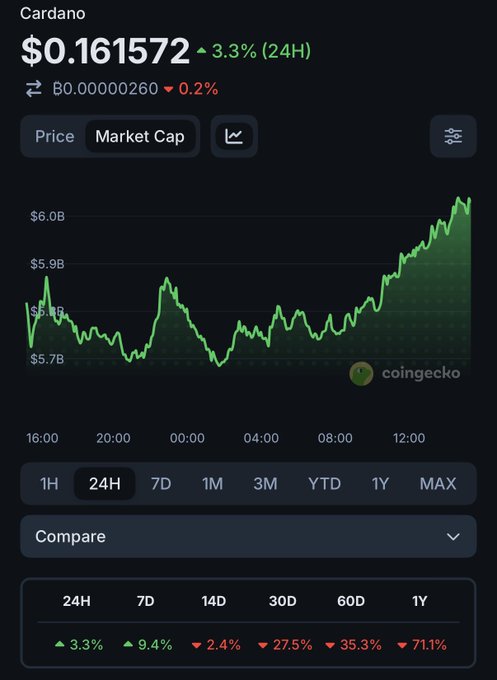 CoinGecko price tracking screen for Cardano (ADA) showing a current price of $0.161572, up 3.3% in 24H, with a green 24H market cap chart trending upward to around $6.0B.