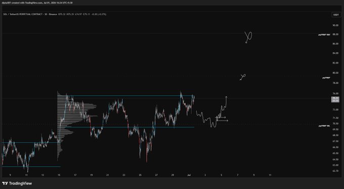 A TradingView chart titled 'SOL / TetherUS PERPETUAL CONTRACT' on the Binance exchange, showing price action with horizontal support/resistance levels and trading annotations.