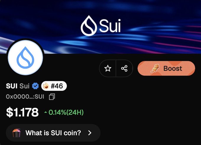 The image shows a cryptocurrency tracking page displaying Sui (SUI) ranked #46 with a current price of $1.178 and a modest 24-hour gain of 0.14%. This contrasts with the accompanying bullish post claiming SUI is "going parabolic," as the actual price action shown reflects only a minor daily uptick rather than dramatic upward momentum.