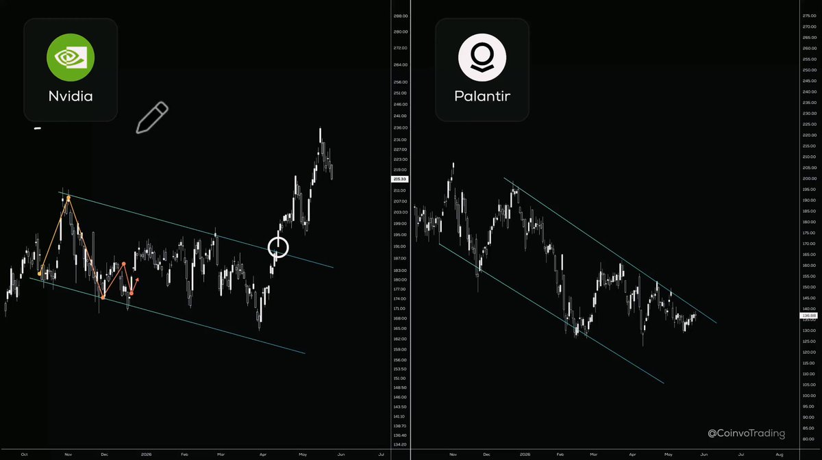 The image shows two graphs, one with a black background and the other with a white background. The black graph displays a downward trend of a stock chart, while the white graph has an upward trend. Both graphs are labeled with the names "Panda" and "Nvidia", indicating that they represent different companies or stocks. The image also includes a small drawing of a pen on the left side, which could be related to the stock market in some way.