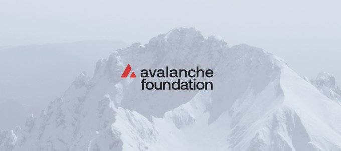 Snowy mountain peak background overlaid with the 'avalanche foundation' logo.