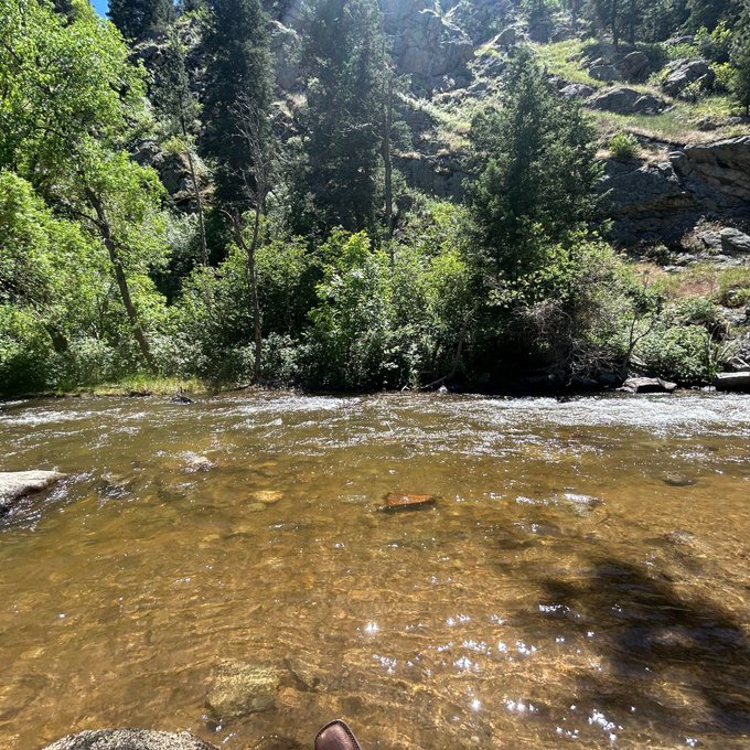 A serene creek flows through a lush, rocky canyon with vibrant green trees lining the banks, while a cowboy boot peeks into the frame from the bottom—setting a rugged "outdoorsy investor" vibe that ties into the casual "GM" (good morning) crypto post asking for the next black bull pick.