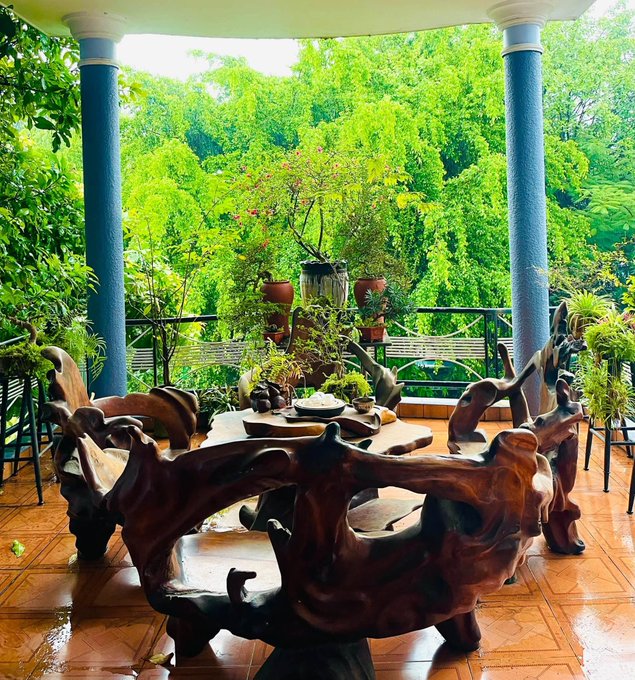 A rustic wooden table and chairs made from natural root wood sit on a tiled patio, surrounded by lush green trees and potted plants under a covered area.