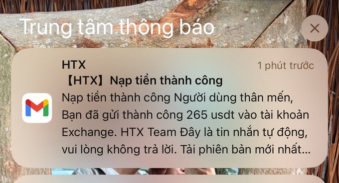 A Vietnamese notification from HTX stating a successful deposit of 265 USDT, with text reading '【HTX】Nạp tiền thành công' and 'Bạn đã gửi thành công 265 usdt'.