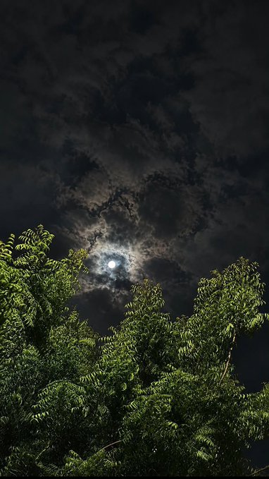 A nighttime photograph looking straight up at a bright full moon partially obscured by wispy dark clouds, framed at the bottom by the illuminated green leaves of a tree canopy.