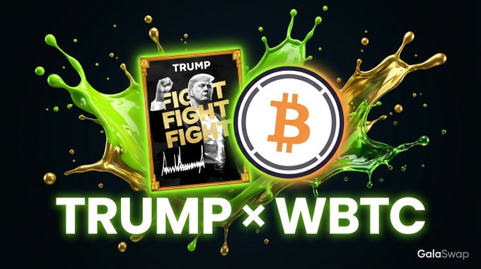 Promotional graphic for GalaSwap's GTRUMP/GWBTC liquidity pool, featuring a stylized trading card labeled "TRUMP FIGHT FIGHT" alongside a Bitcoin (₿) symbol, set against vibrant green and gold paint splashes. The image highlights the pool's TVL of $197k, 24.0% APR, and $48k 24-hour volume.