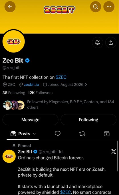 A screenshot of the Twitter/X profile for **Zec Bit (@zec_bit)**, showing 12K followers and describing it as "The first NFT collection on $ZEC." The pinned tweet announces ZecBit as "building the next NFT era on Zcash, private by default," aligning with the accompanying post's promotion of a free mint and raffle for 4 guaranteed spots on the upcoming NFT launch.