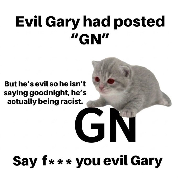 A meme featuring a white cat with text joking that 'Evil Gary had posted "GN"' which actually stands for a racial slur rather than 'goodnight'.