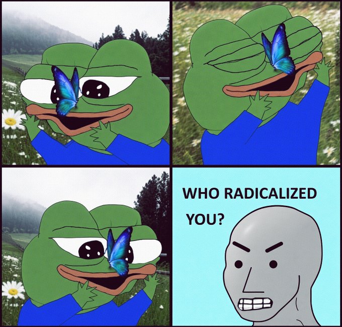 A four-panel meme features a cartoon frog with a butterfly on its head next to a Wojak face asking "WHO RADICALIZED YOU?".