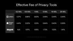 The image displays a table of different types of privacy tools with their respective prices, including apps that enable users to protect their data from being compromised by others who might attempt to steal their private information. The table features various options such as browser extensions or privacy-focused browsers like Privacy Guard and Privacy Shield which can be used on Chrome and Safari browsers. There are five different privacy tools presented in the image with varying price points, including a free option that offers a basic level of security but is not as comprehensive compared to more expensive options.