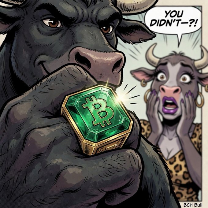 The image features a cartoon depiction of a man holding a green diamond-shaped object, which appears to be a Bitcoin. A woman with purple lips is standing next to him, looking surprised or intrigued by the Bitcoin. The caption below the image reads "Bitcoin Cash". This suggests that the Bitcoin depicted in the image might have been created using Bitcoin Cash as its underlying currency.