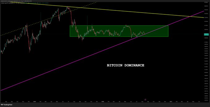 A TradingView chart displaying 'BITCOIN DOMINANCE' with candlestick patterns, a green highlighted rectangular zone, and yellow and purple trendlines drawn on the price action.