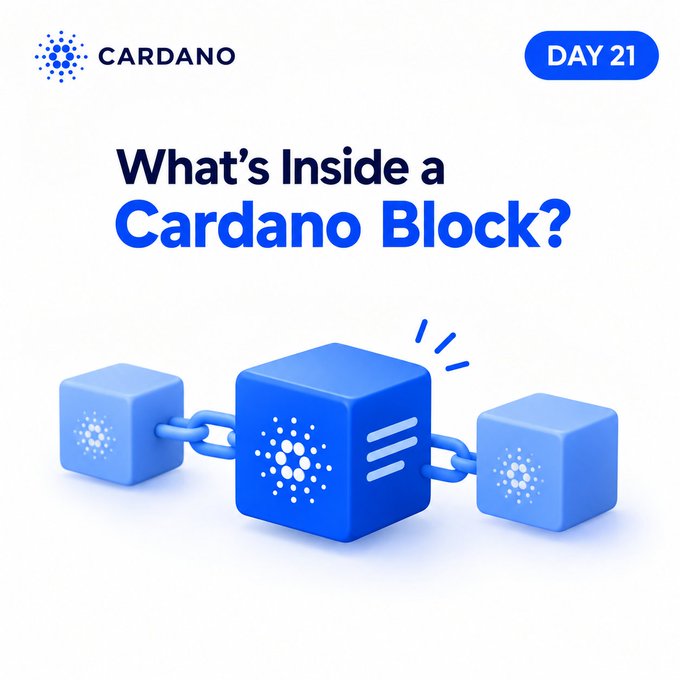 A Cardano promotional graphic titled 'What's Inside a Cardano Block?' labeled 'DAY 21', showing three blue blockchain blocks connected by chains with the Cardano logo.