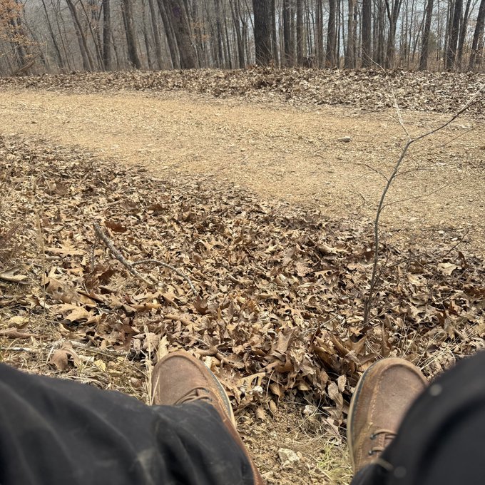 A first-person view shows someone wearing brown boots and black pants sitting in a clearing surrounded by fallen leaves and woods, capturing a relaxed outdoor moment that fits the casual "good morning" vibe of the post. No text, tickers, or numbers are visible in the image.