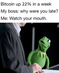 A meme image showing Kermit the Frog in a suit with text reading 'Bitcoin up 22% in a week. My boss: why were you late? Me: Watch your mouth.'