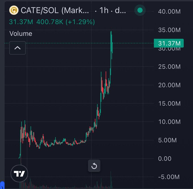 A 1-hour candlestick chart of CATE/SOL on a TradingView-style platform shows the token's value climbing from around 5M to a peak near 40M, with the current reading at 31.37M (+1.29%). The sharp upward trajectory visualized in the chart reflects the bullish sentiment behind the caption "they'll call us lucky $CATE."