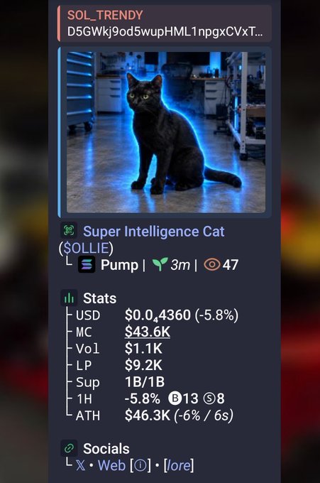DexScreener page for the 'Super Intelligence Cat ($OLLIE)' meme coin on Solana, showing stats including a price of $0.4360, market cap of $43.6K, and liquidity of $9.2K.